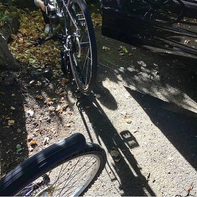 HelenWolsten's tweet photo. Yesterdayโs day off was filled with baking, cycling, chatting & exploring Oxford with @lollingridge #HappyBirthdayLaura #bakesandmakes #appleandpearcake #parkrunprep #almostaflattyre https://t.co/1mnOA7jktQ