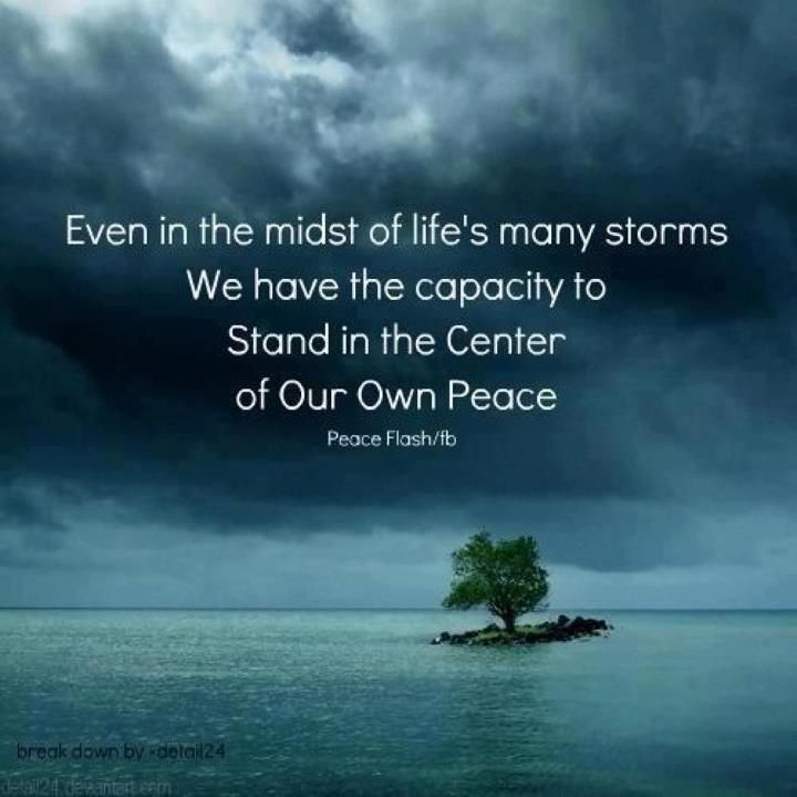 Peace In The Midst Of The Storm Quotes Kamla On Twitter: "@Kmshettyp Thank You Mr Shetty, Always Grateful To Hear  From You, Have A Lovely Day And A Blessed New Week!  Https://T.co/Gjftrkqgdt" / Twitter