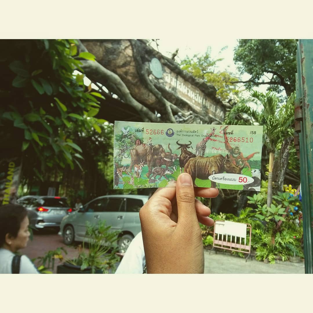 amalyssa_'s tweet photo. Will stay in my heart and my memory forever. ❤ #Dusitzoo #เขาดิน #สวนสัตว์ดุสิต #เขาดินวนา https://t.co/KED1O6j0w3