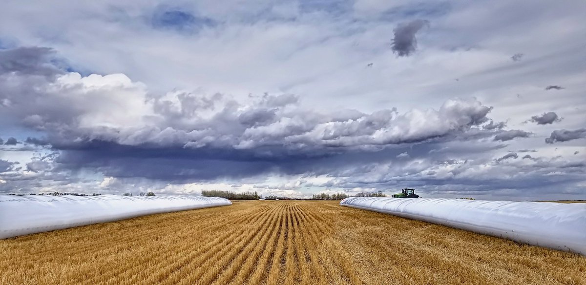 SarahLeguee's tweet photo. Back at #Harvest18. 35 day run followed by 13 day rain delay. Feeling pretty fortunate down here judging by the pics &amp; posts lately 😣. Last field of canola off today, a late durum field &amp; flax left..what's MN got up her sleeve next? #farmlife #meanwhileinsaskatchewan https://t.co/fRcxjz3azR