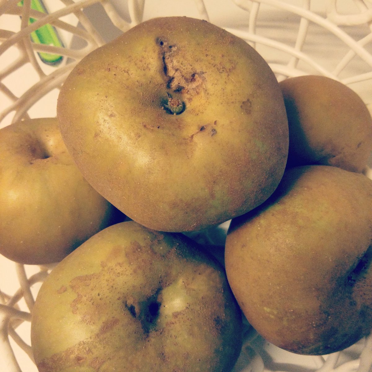 AncestralBlog's tweet photo. Chega o Outono e nos mercados começamos a ver algumas das grandes maravilhas da época: Maçã Reineta. Polpa doce e  farinhenta. É  rica em cálcio e em vitaminas, minerais e fibras que ajudam a desintoxicar o fígado.Adoro-as assadas no forno com canela e vinho tinto. https://t.co/kD4TCEE8mR
