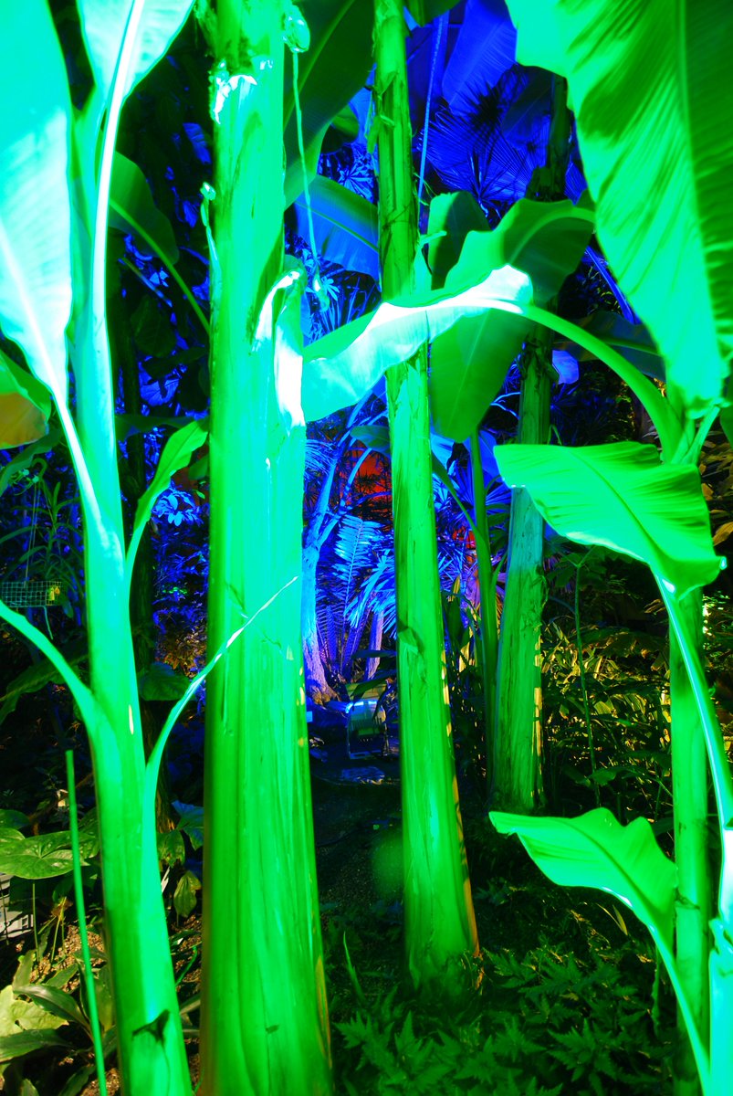 We had a great "Night of Science" at Heidelberg Botanical Gardens ... uni-heidelberg.de/termine/nacht-… ... and welcomed hundreds of interested visitors and guests. Thanks to all  contributing to make this event a great success.