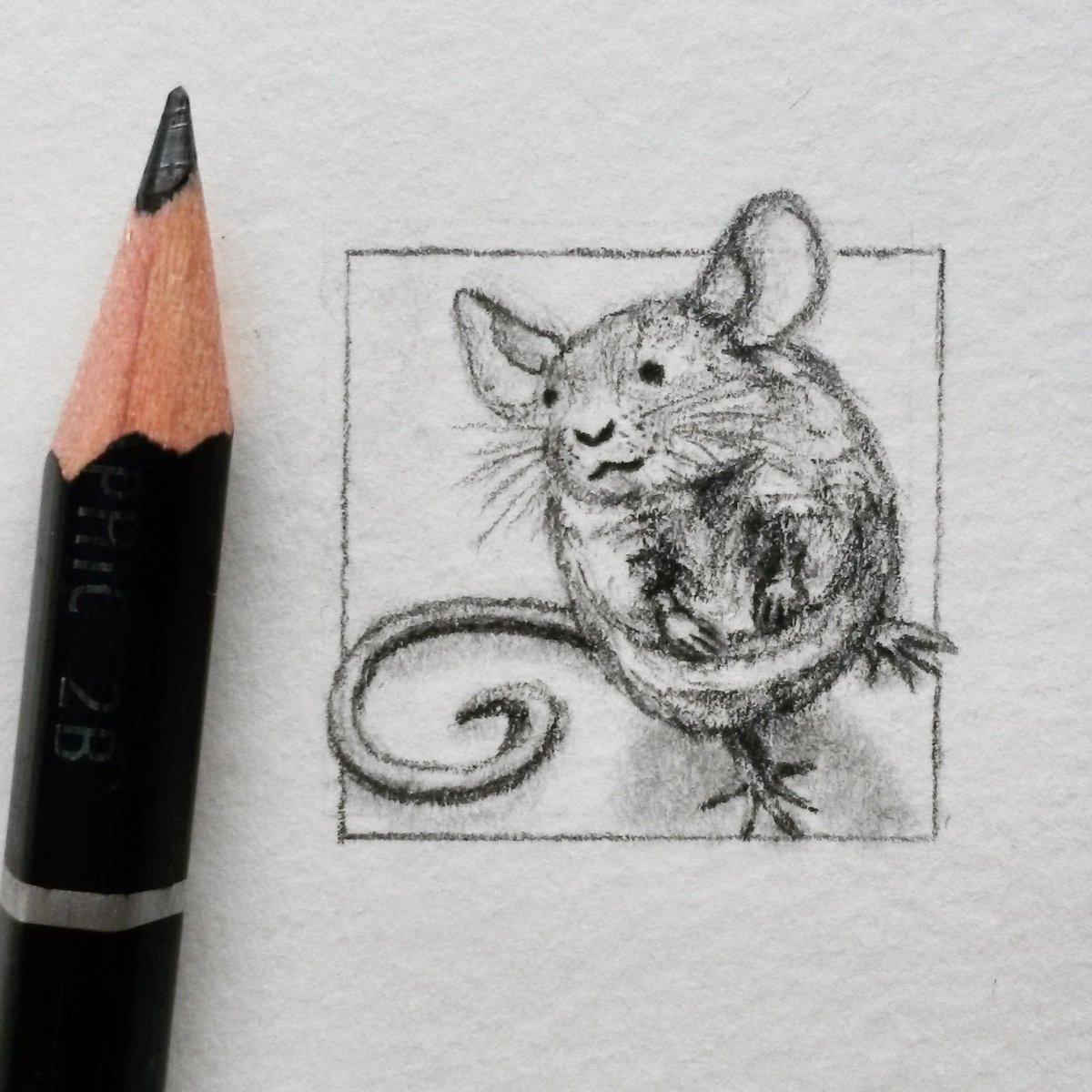 Day 29 is inspired by #FlowersForAlgernon by #DanielKeyes ~ a heartbreaking rumination on the value of intelligence 🐁
@illustrationhq #DrawingADay #JohnVernonLord