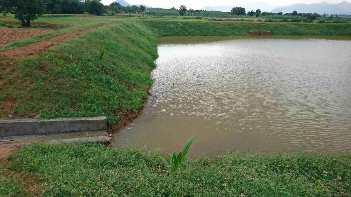 soilcons_odisha's tweet photo. Farm Pond constructed under PMKSY (Other Interventions) during 2017 – 18 in Rayagada District, Kolnara Block, Keutaguda Village, Jay Sibashankar MWS with an expenditure of Rs. 5 lakhs, provides irrigation to 4 Ha. for 10 farmers. https://t.co/ma1uZrcOqj