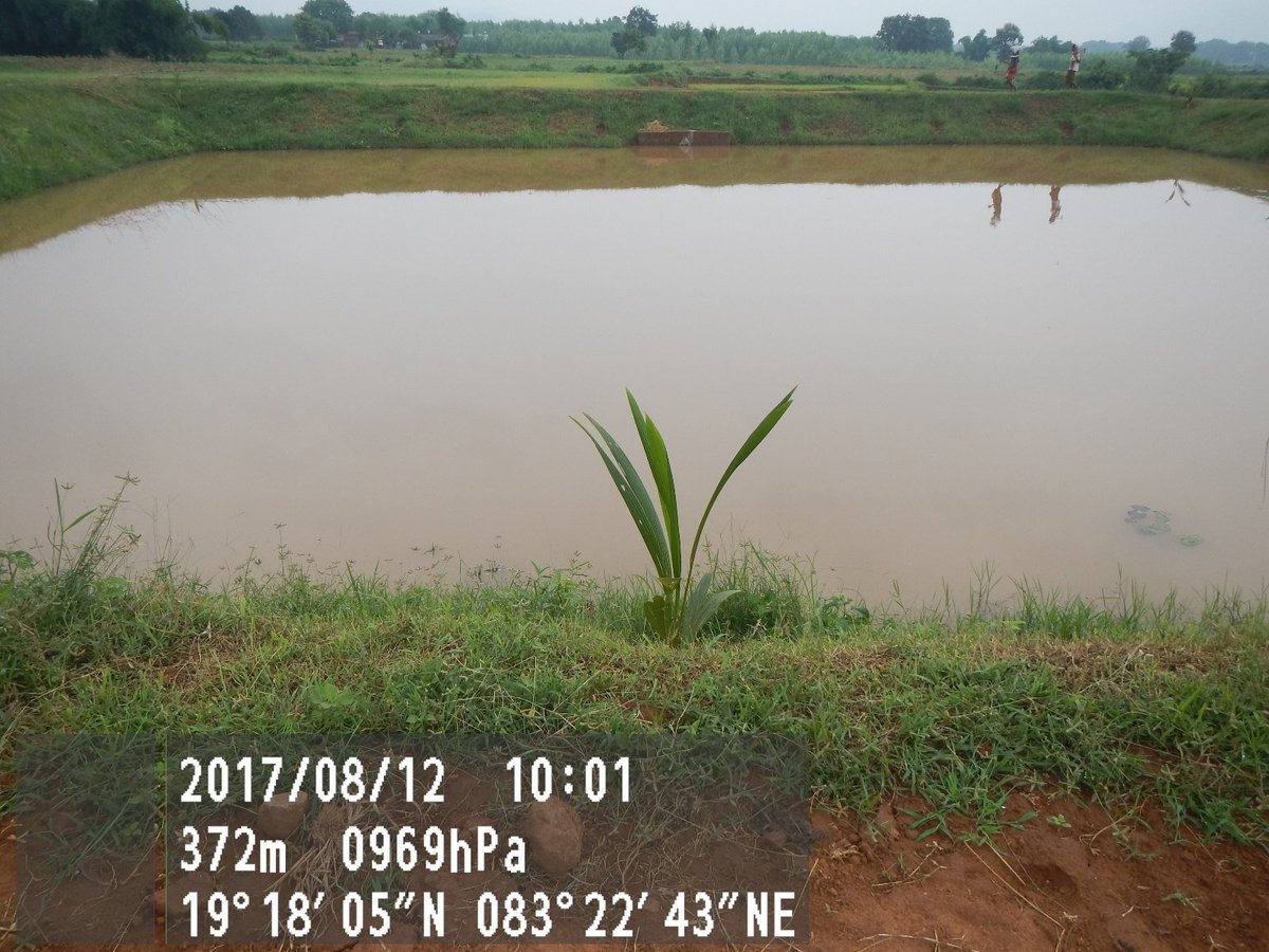 soilcons_odisha's tweet photo. Farm Pond constructed under PMKSY (Other Interventions) during 2017 – 18 in Rayagada District, Kolnara Block, Keutaguda Village, Jay Sibashankar MWS with an expenditure of Rs. 5 lakhs, provides irrigation to 4 Ha. for 10 farmers. https://t.co/ma1uZrcOqj