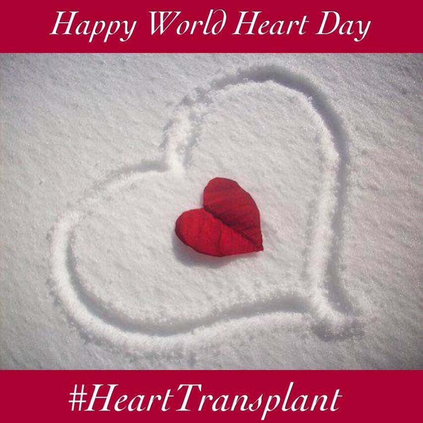 hearts_matteruk's tweet photo. ❤️❤️Happy World Heart Day ❤️❤️ 
❤️❤️To you all ❤️❤️ Share the love around and joint the Organ Donor Register #ShareYourWishes 

#OrganDonation #HeartTransplant 

❤️❤️❤️❤️❤️❤️❤️❤️❤️ @NHSOrganDonor https://t.co/ChxhMqmwrH