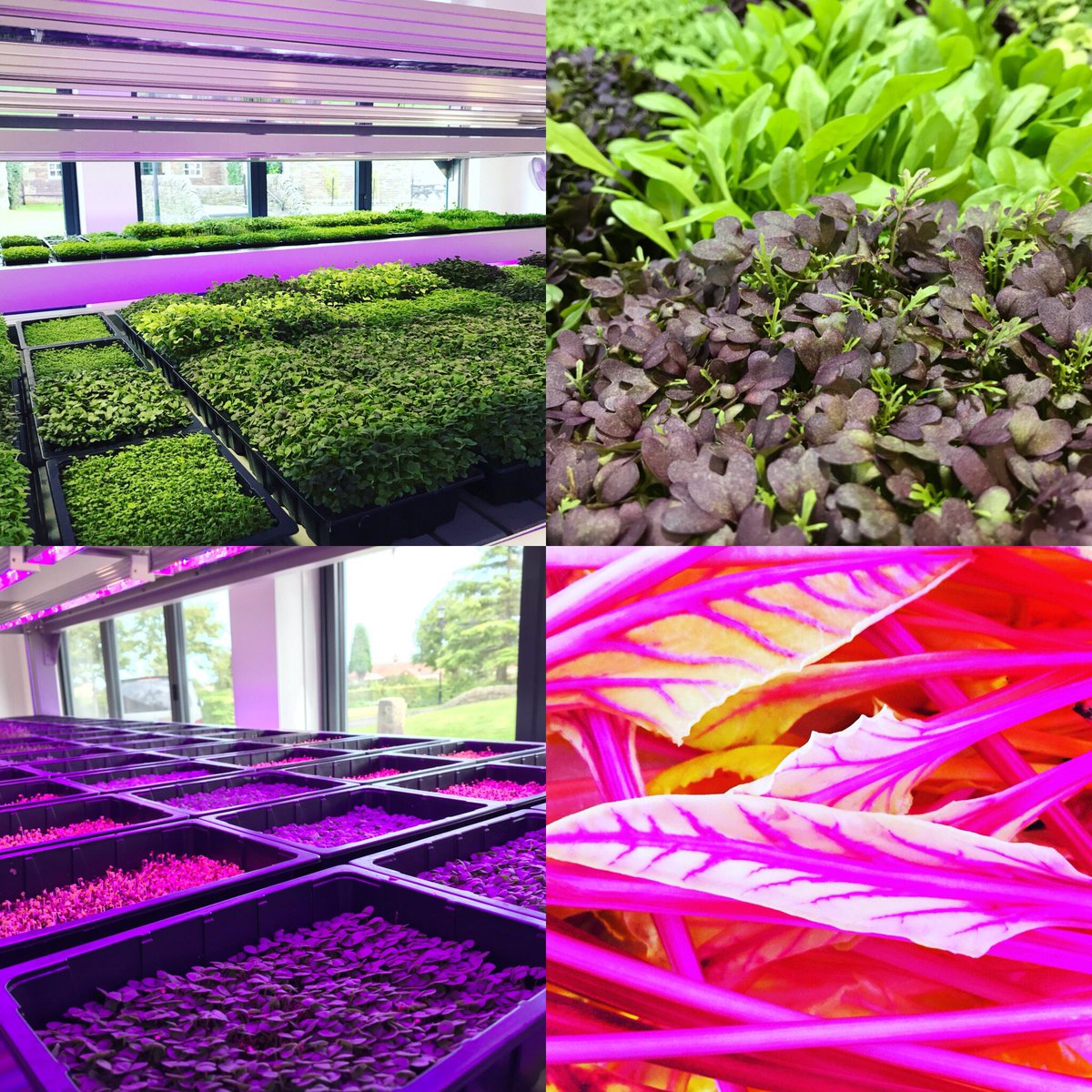 Ken Holland (@northcountryken) on Twitter photo 