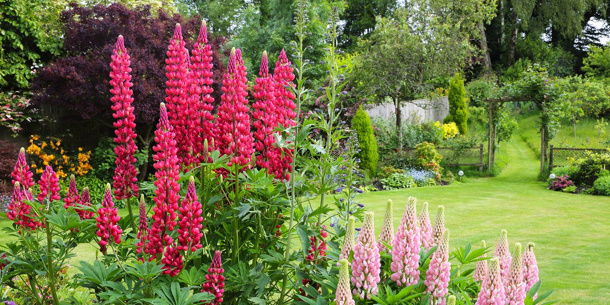 HuntersTottenh1's tweet photo. Blog: Britain's dream garden has been revealed

It has a hot tub, eating area and trees.

See more details https://t.co/JY6t8YjqlM https://t.co/F23hIM3ORq