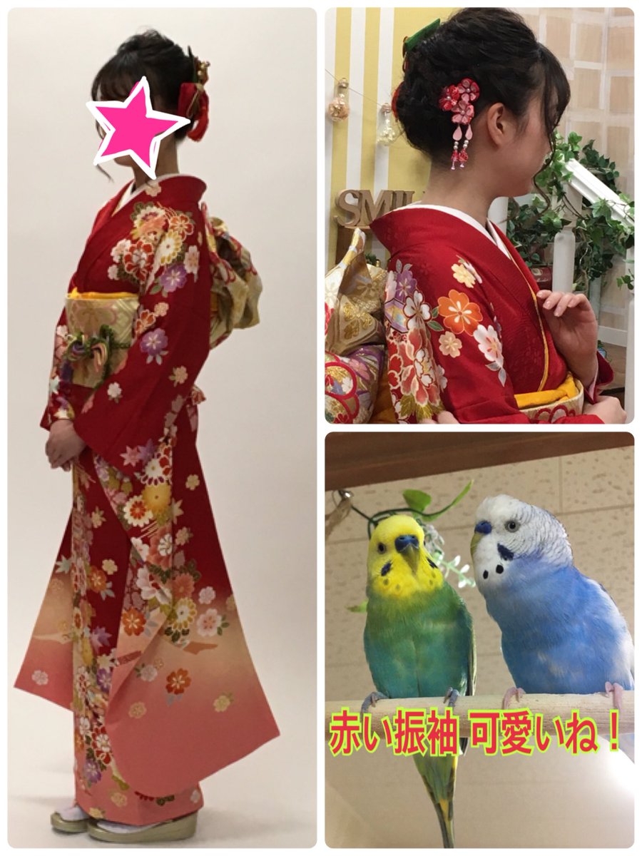 みずたまインコ On Twitter 素敵ですね 振袖は良いよね