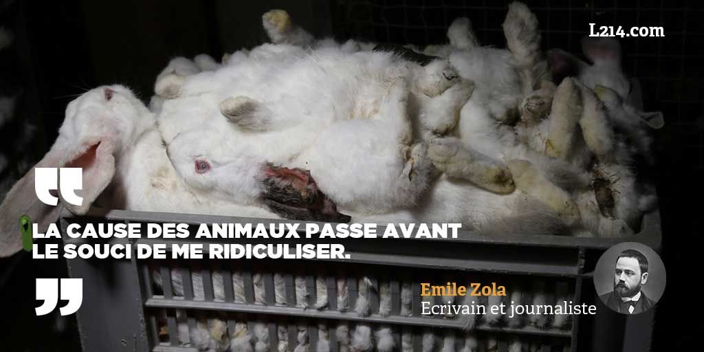 L214's tweet photo. En 1896, Emile Zola publiait en une du journal @Le_Figaro "L'amour des bêtes". Une véritable déclaration d'amour aux animaux à lire ici: https://t.co/ZEye6LlhrS. Il est mort le 29 septembre 1902, il y a exactement 116 ans. https://t.co/tQFBw7D5N8