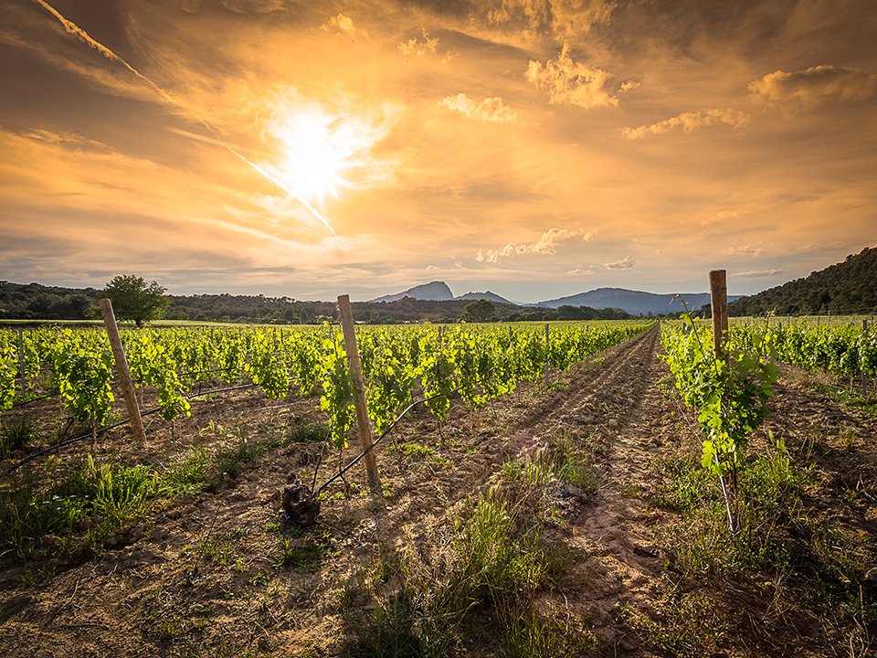 tasty_andalucia's tweet photo. The #PDO @CondadodeHuelva belongs to the range of sweet wines whose characteristics are exquisite and unique in the #market. This #wine is exclusive and undergoes a process of aging through the system of #Criaderas and #Soleras for a minimum time of 2 years. #AndaluciaTasteLike https://t.co/sEel62RxcB
