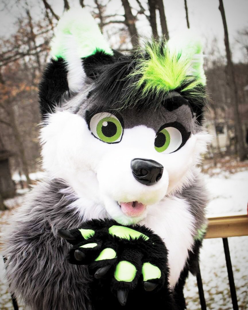 Firefly_Wolfy's tweet photo. If the goddess of love Aphrodite was a male wolf... I imagine he would look like this~ πππ *blushes*
#furry #furries #furrys #fursuit #fursuiter #furryfandom #firefly #fireflywolfy #FursuitFriday https://t.co/hmxI1E2Qit