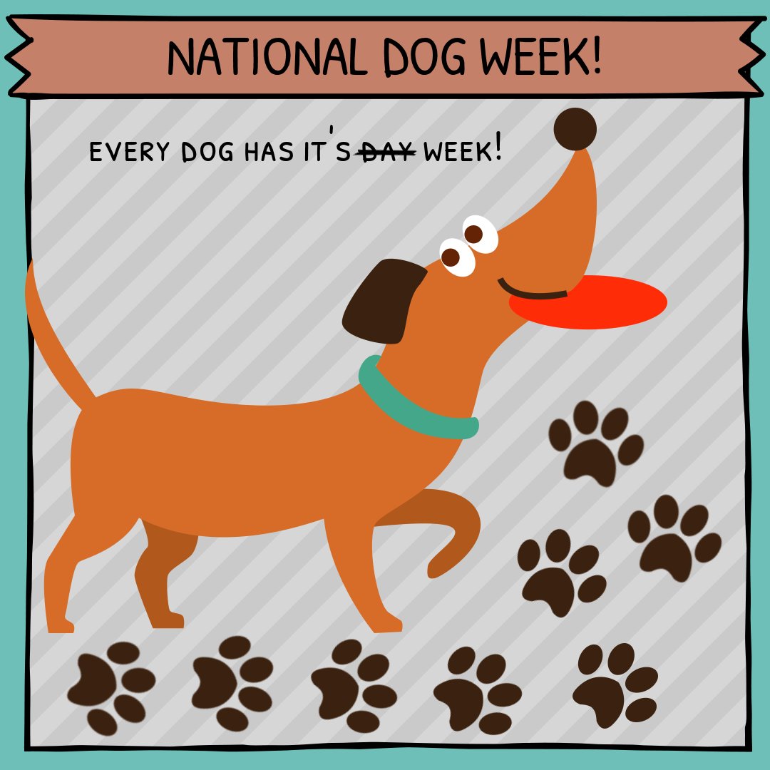 petnurseservice's tweet photo. It's #NationaDogWeek 🐶
Although we know you appreciate your precious #pups all year round, take a little extra time for #MansBestFriend this weekend!  🐾
#dog #dogs #dogsoftwitter #doglovers #dogsofinstagram #dogoftheday #dogowner #dogwalk #pet #pets #petsitting #petlovers #woof https://t.co/lsWnGIns12