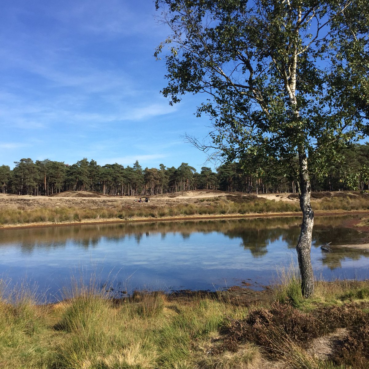 NP Zuid-Kennemerland tweet media