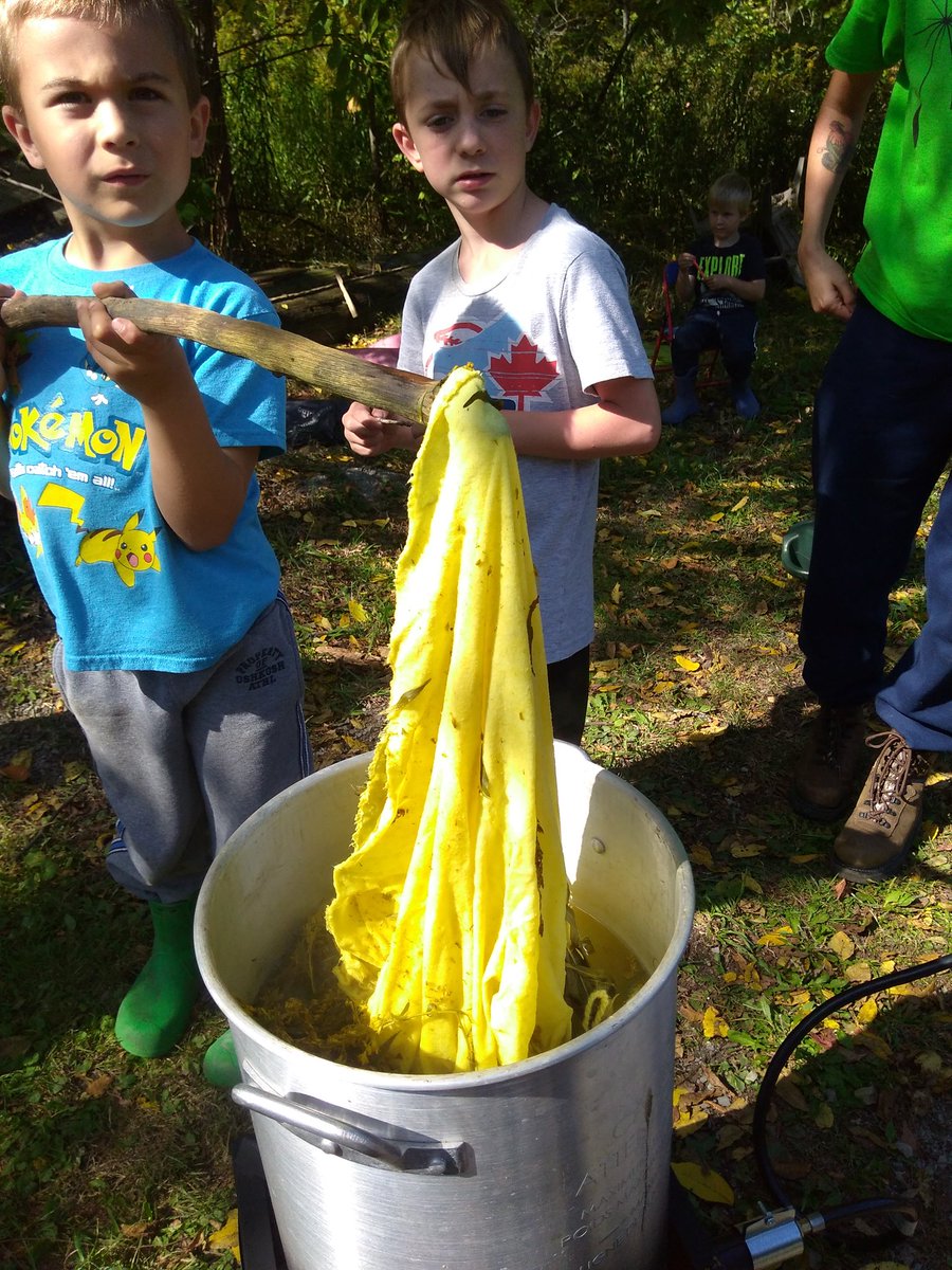NatureNiagara's tweet photo. Look at that yellow! Natural dye from Goldenrod, today at Nature School! #ForestSchool #outdoorlearning https://t.co/7iv1JpfJ5P