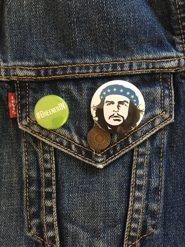 amprincemusic's tweet photo. @nickonthedrums @ajmpolite Yes, I was there this morning and was given this cool badge 🙂💚🇪🇺🌍 #GreenerIN #PeoplesVote https://t.co/kye4pYjxVb