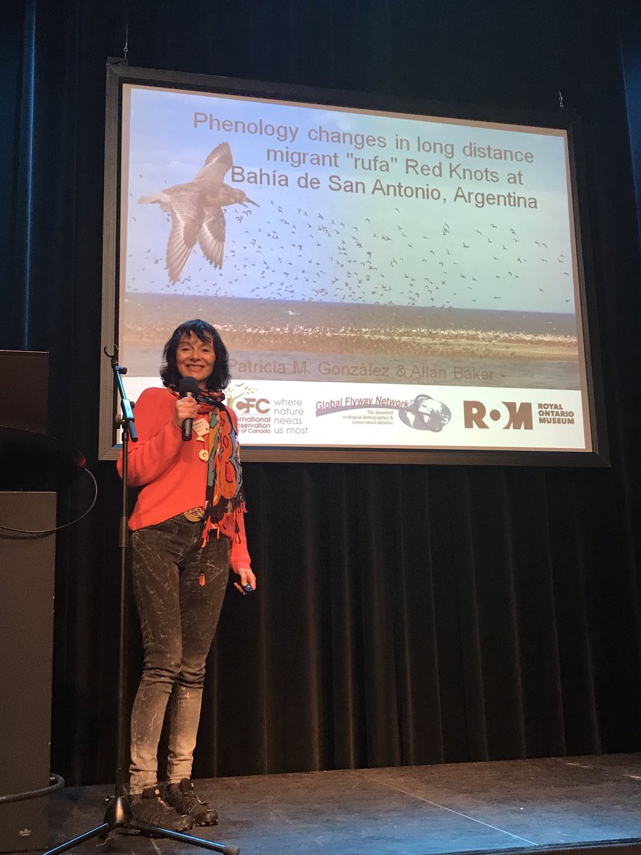 Beloved Patricia Gonzales about to begin her awesome talk about rufa Red knots and their phenological changes in the Argentinian #Patagonia! @Ccanutus #IWSGconf @WaderStudy @GlobalFlyway @shorebirdswest
