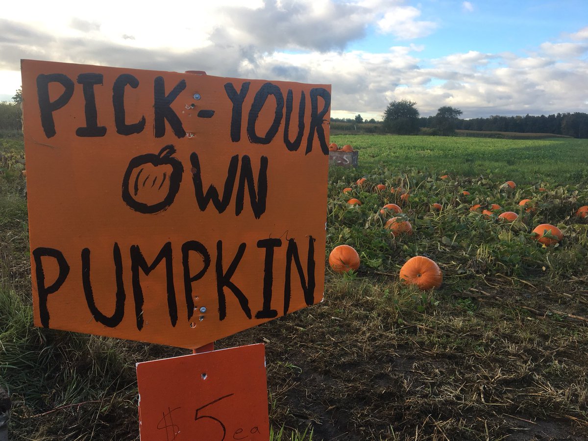 Today’s the day! We’ve got a beautiful day for Pumpkinpalooza—come on out from 10-3 for some pumpkin family fun!