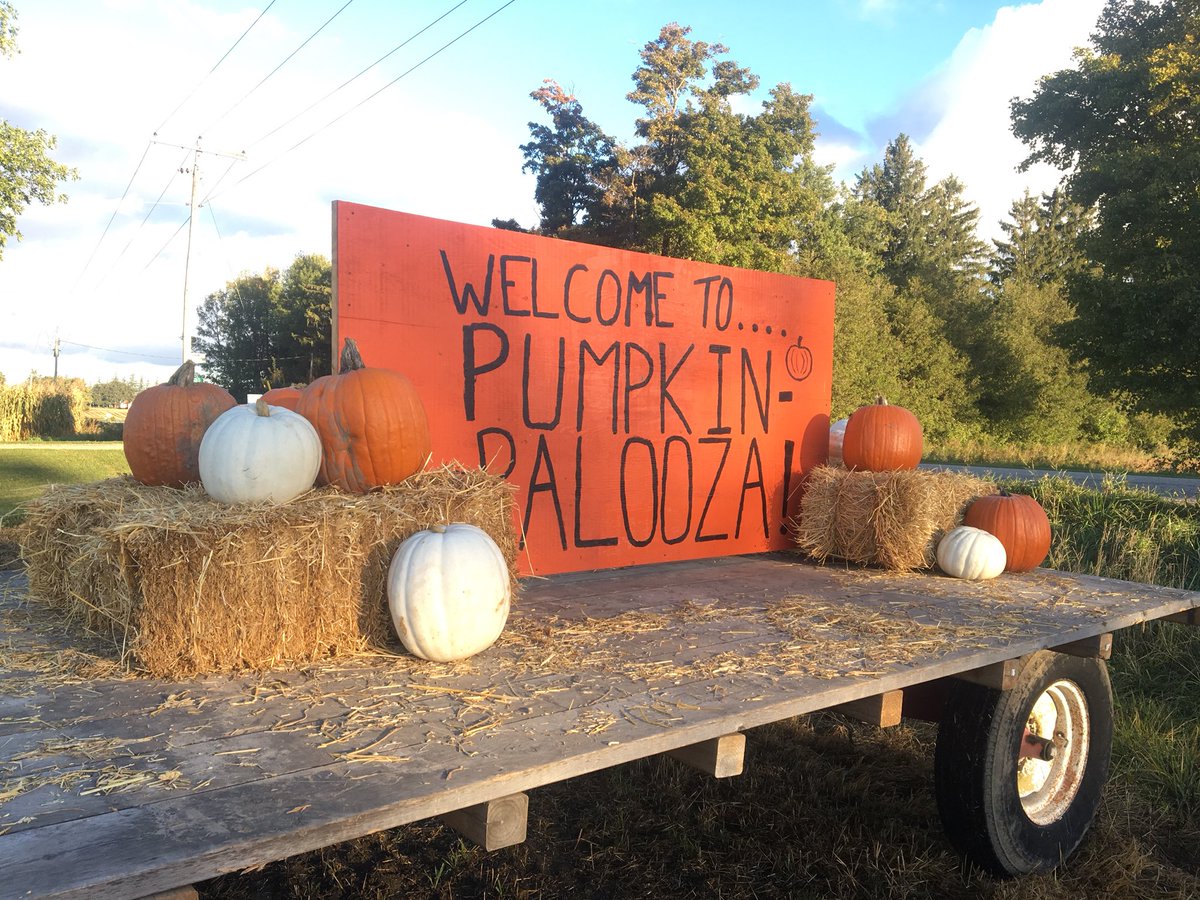 Harwill_Farms's tweet photo. Today’s the day! We’ve got a beautiful day for Pumpkinpalooza—come on out from 10-3 for some pumpkin family fun! https://t.co/lD51WjyMl3