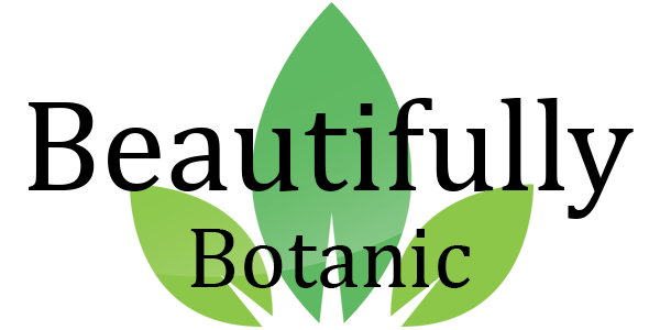 SeanTheMedium's tweet photo. Beautifully Botanic https://t.co/1ZKHzEy3bx https://t.co/WXOoC24v8o