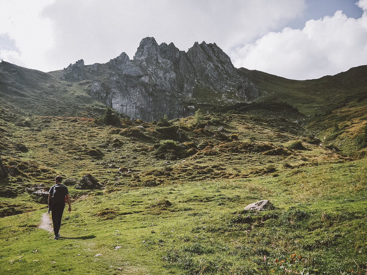 davidpreiss_'s tweet image. The journey of a thousand miles begins with a single step. #DPPD