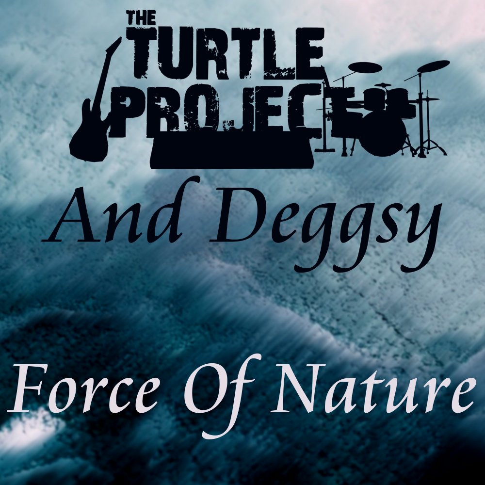 Force of Nature by The Turtle Project