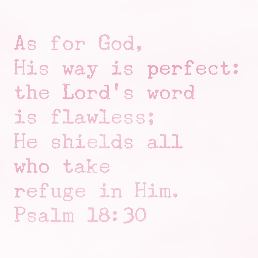 sugarplumgirl's tweet image. As for God, His way is perfect: the Lord’s word is flawless; He shields all who take refuge in Him. Psalm 18:30 #verseoftheday #psalm1830 #hiswayisperfect