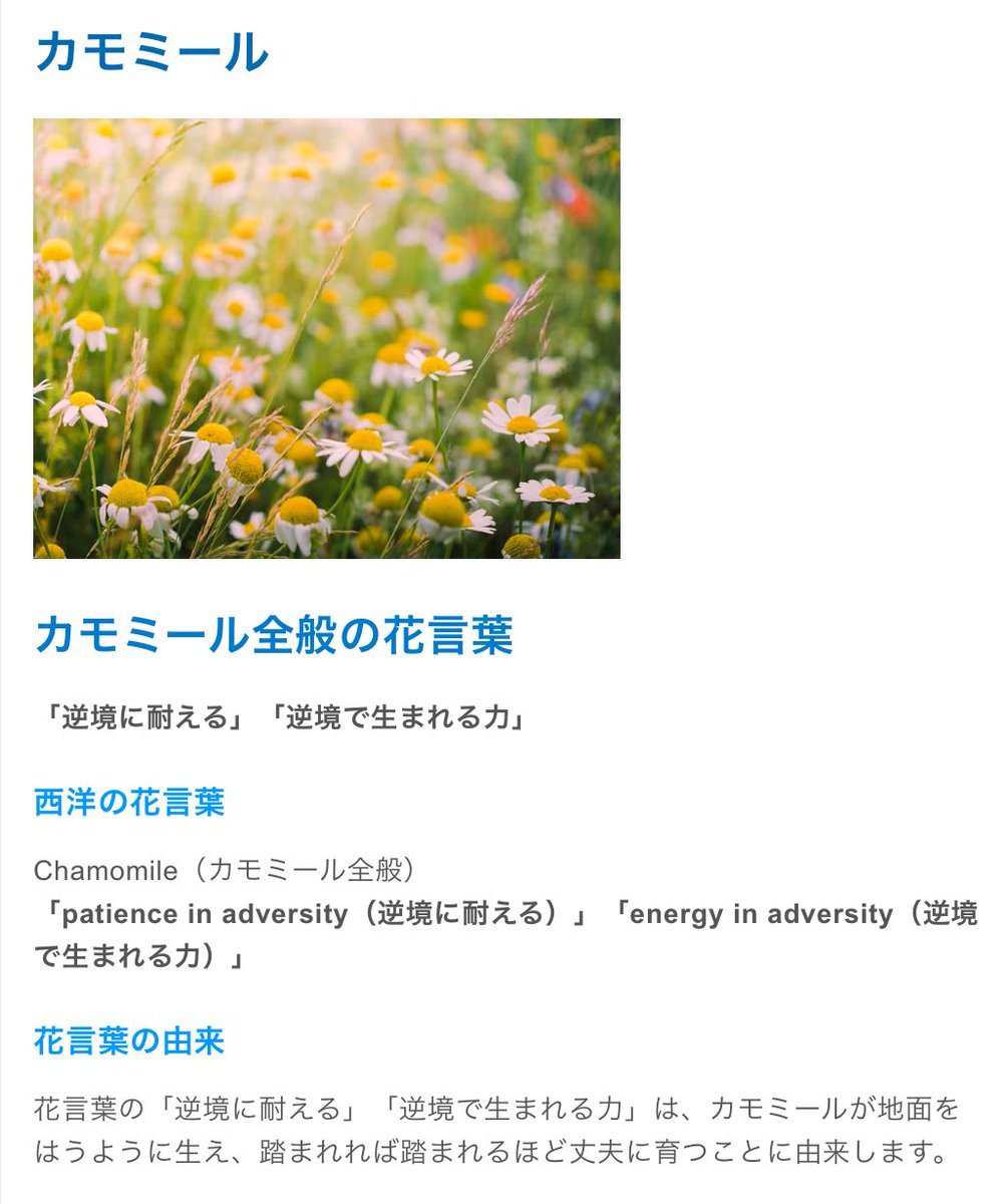 365日の誕生花 Twitter Search Twitter