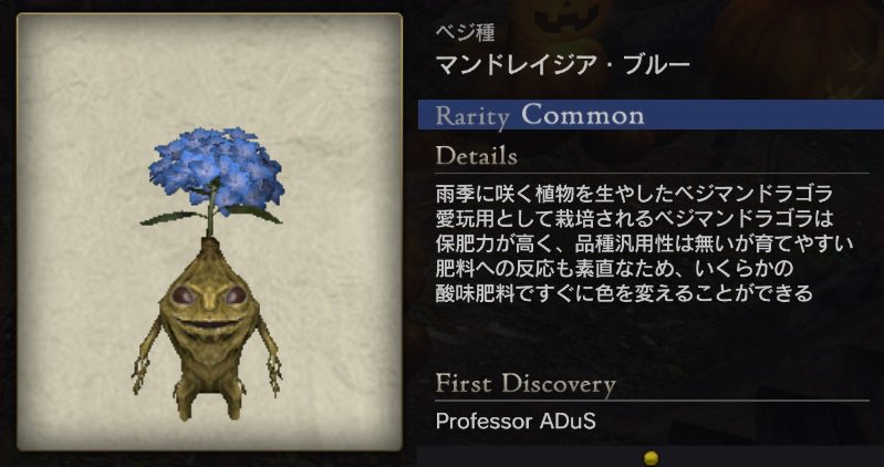 Zlofsky ベジ種 マンドレイジア ブルー ベジマンドラゴラ 成体から この先の進化無し とは出てこず Ddon マンドラゴラ