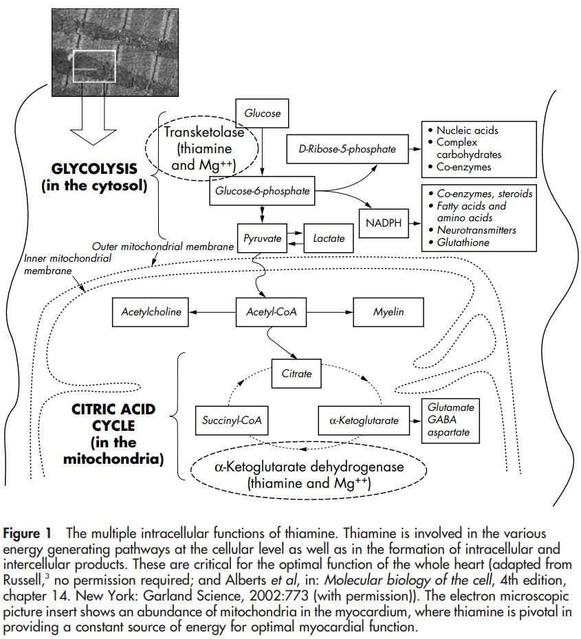 JClinPath_BMJ's tweet image. Huy A Tran reports on increased serum cardiac #troponin I in “wet” #beriberi
jcp.bmj.com/content/59/5/5…

World #Heart Day (Sept 29th)
