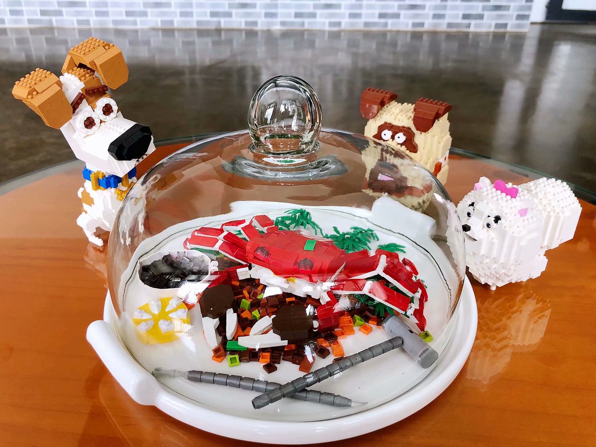 lozblocks's tweet photo. The best weekend dinner is here!Haha.... #happyweekend #dinner #lozblock #Saturday #HappySaturday #dog #cute #diy #game #microblock #diamondblock https://t.co/878buDCYth