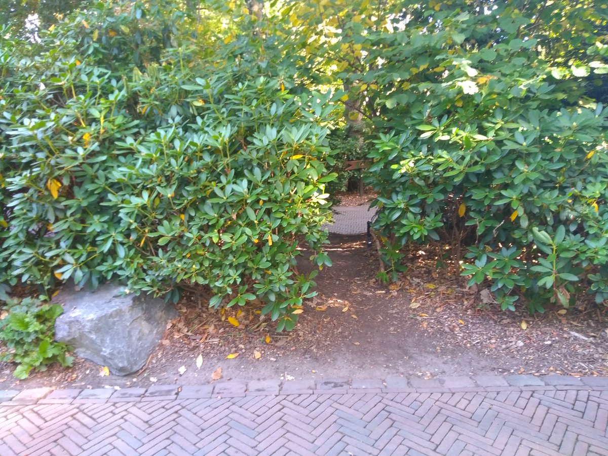 ObronTweet's tweet photo. @Boukje Je doorsteekje is er al #mmdz https://t.co/ZtWHb3octP