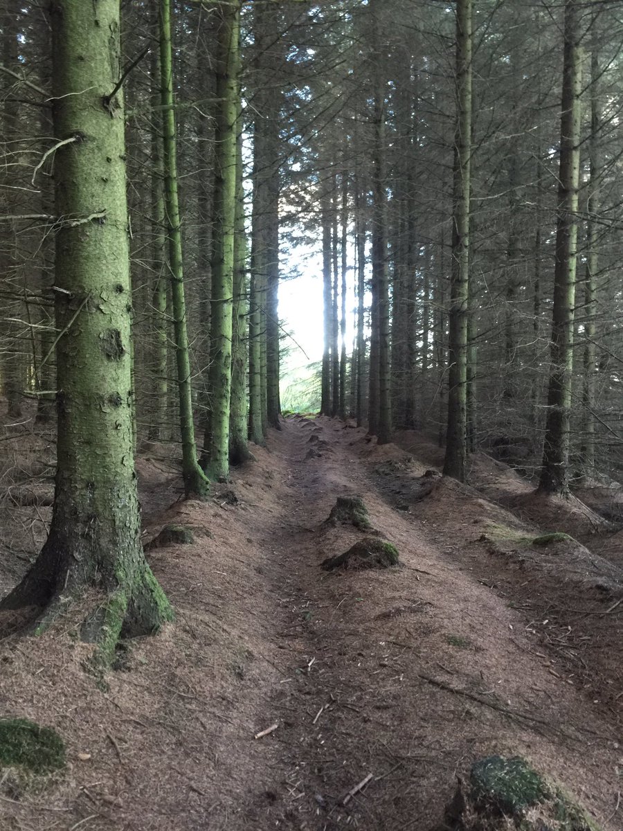 UpHillDD's tweet photo. @OPALlandegla @BadgerLlandegla @NWAdventureMap @Clwyd_Dee_AONB @NthEastWales @DiscoverDenbs @pottyadventures @NorthWalesWalks @nwalestweetsuk @NWales_OutThere @northwalescom Here are some from yesterday https://t.co/Nei6Gguz2p