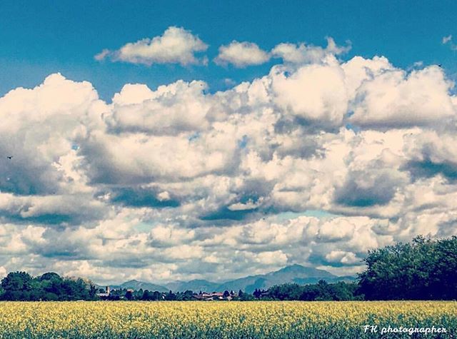 ilariodistefano's tweet photo. L’uomo diventerebbe folle di sogni se i fiori brillassero nel cielo e non ai suoi piedi.
[Grigore Vieru]
-
-
-
-
-
-
-
-
-
-
-
#landscape #amazing #view #trip #tree #sky #mountains #nature #landscape_lovers #landscapelovers #landscape_lover #landscapehun… https://t.co/E4K3zvXG8p https://t.co/HD3KB8KpeT