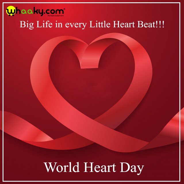 whaakyreviews's tweet photo. #WorldHeartDay #Whaaky https://t.co/AeHCu8Zbdv