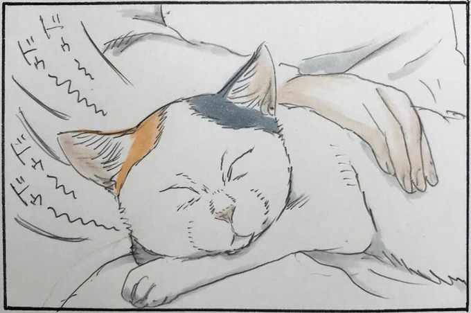 『タイミング』 