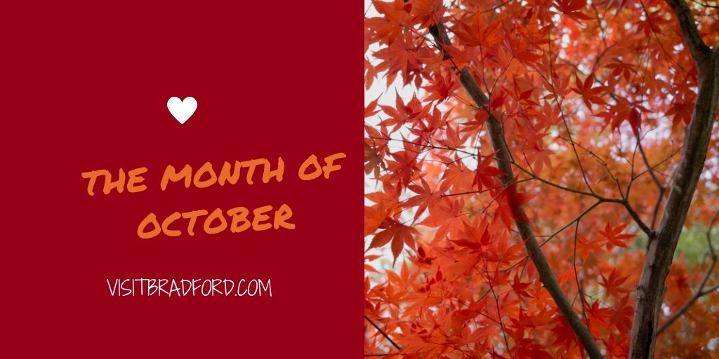 There are lots of exciting and fun things to do in #Bradford &amp; district this October, here's our guide. ow.ly/aclQ30m1BfM  #Yorkshire