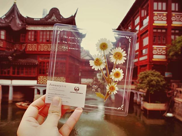#上海 にいってきました。
#JAL花旅 #jal花旅 
#china #中国 #shanghai #豫園 #yugarden #女子旅 #travelphotos #trip #travelholic #travelling #travellover #写真好きな人と繋がりたい ift.tt/2NR86g0