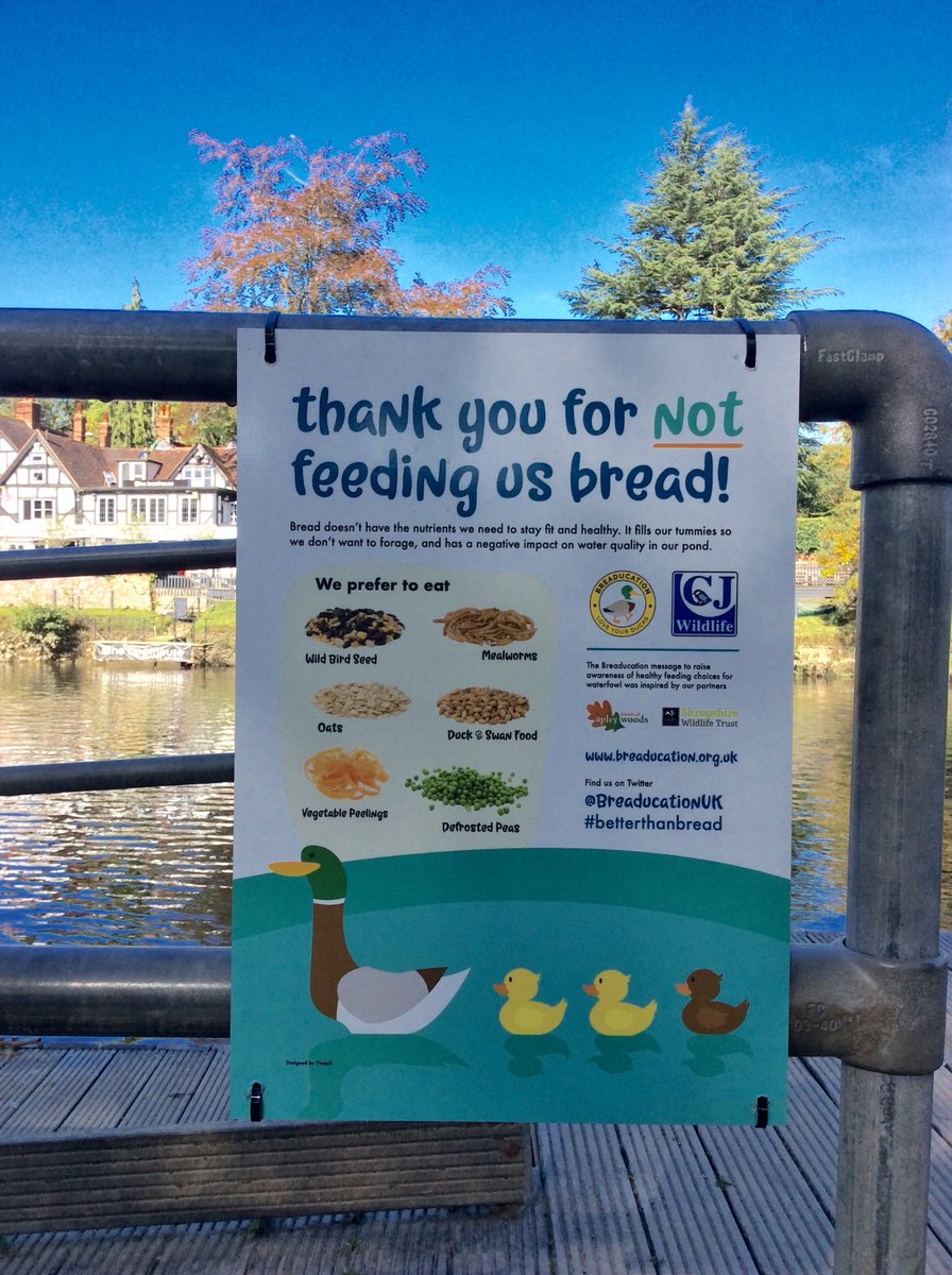 CJWildlife's tweet photo. Great to see our new @breaducationUK signs up in The Quarry Park, Shrewsbury! Go see &amp; feed the ducks #betterthanbread on this beautiful weekend. We've had great positive feedback this morning. https://t.co/ZAfI6zOWTM @ShrewsburyTC https://t.co/JyNZiMIeEw