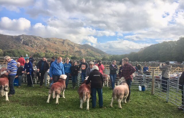 Judging begins at the 150th <a href="/EskdaleShow/">Eskdale Show</a>.  World Champion Herdwick due to be awarded soon!