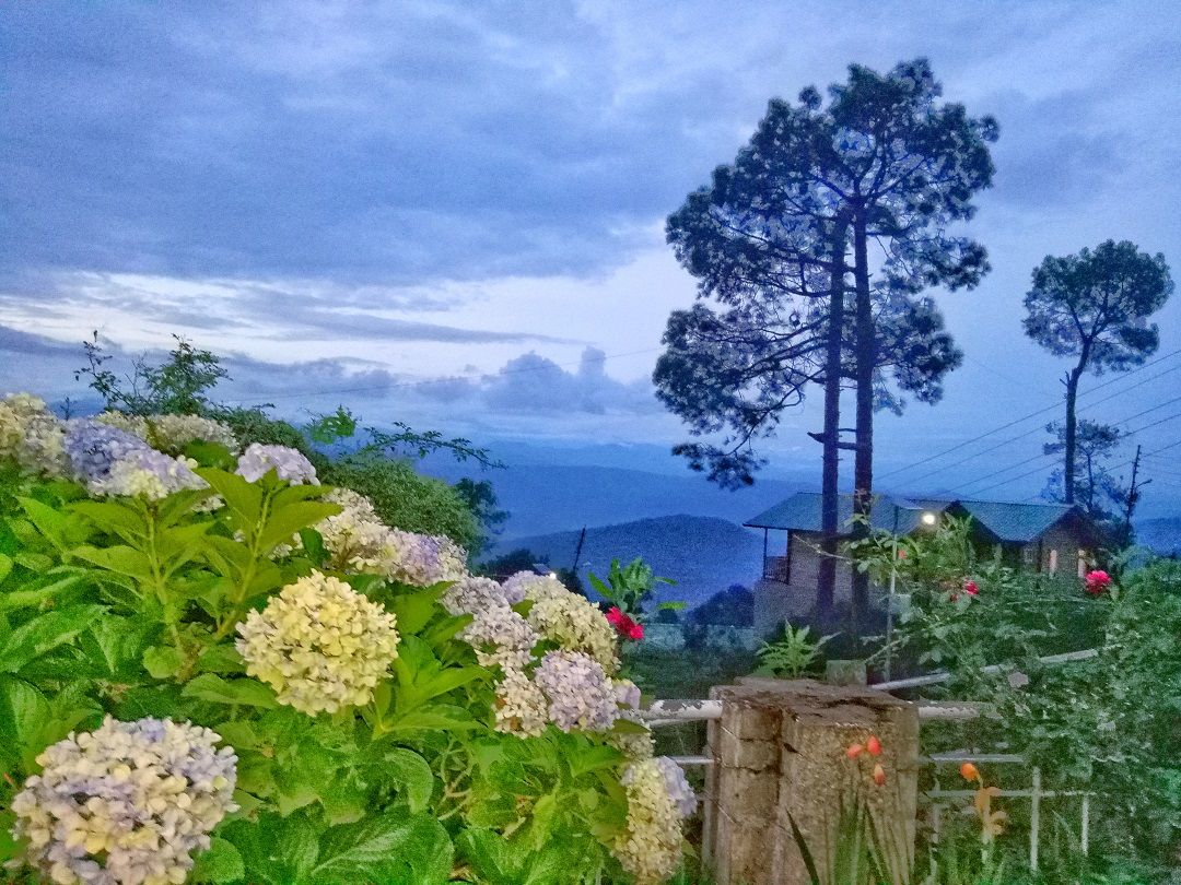 desiTraveler's tweet photo. 7 Things To Do In Kausani in #Uttarakhand > My experience in Kausani on #BloggersBus with @UTDBofficial >> https://t.co/hfH272C7yg #IncredibleIndia #Travel https://t.co/q576Dq9ApY