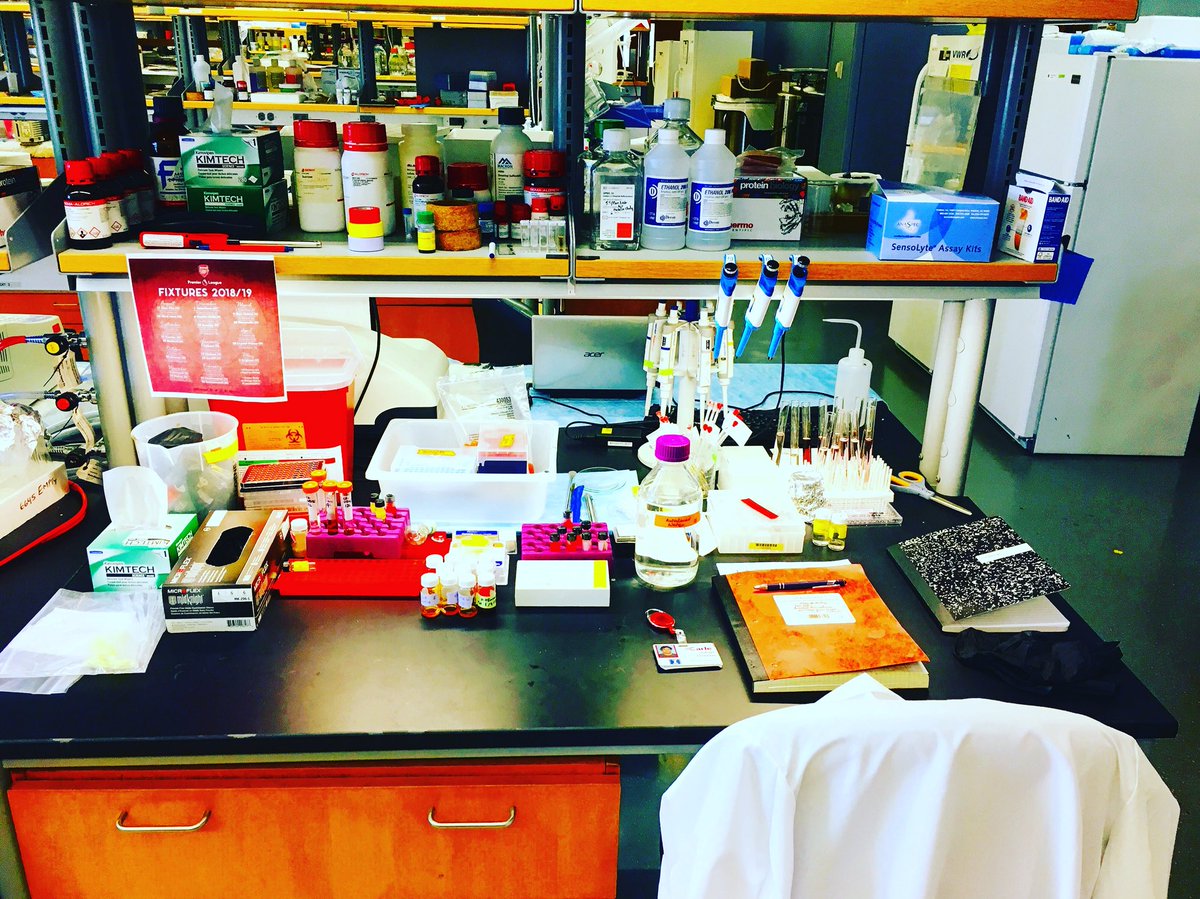 indrajitnano's tweet photo. Back to the grind! 💆🏻♂️ #weekendexperiments #PhDlife https://t.co/LE0bdQHNNS