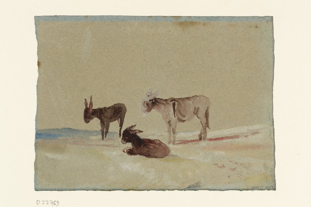 TCMargate's tweet photo. This weekend is the last weekend of Animals &amp; Us! Find out what you can see here: https://t.co/VtB8QjIdeX https://t.co/o0XTDHhN1t