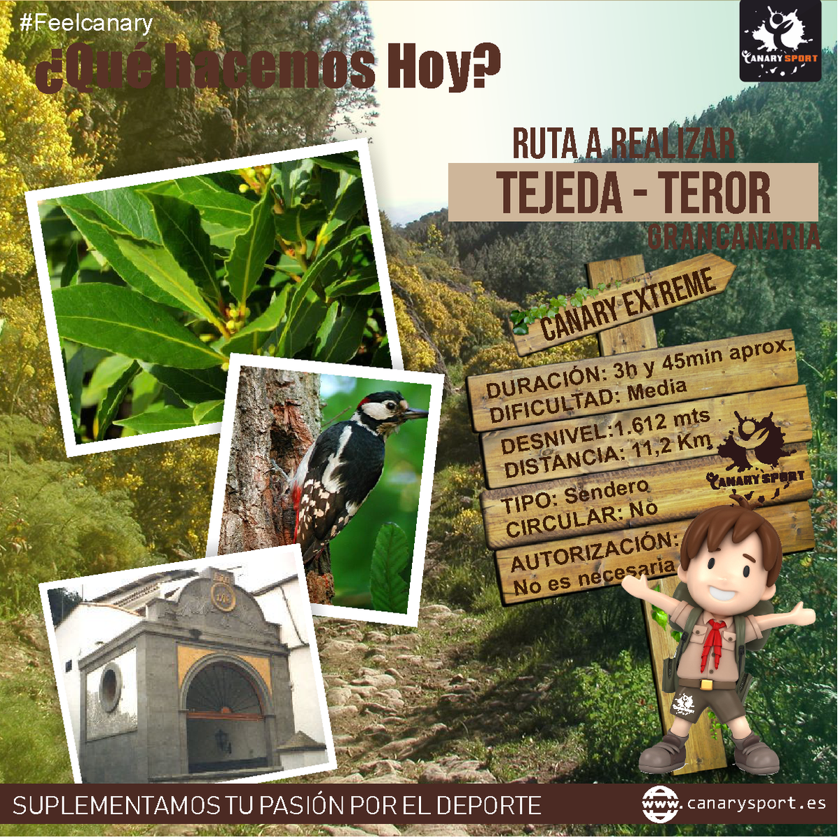 ¿Qué hacemos hoy😀?
Nosotros te ofrecemos una ruta muy interesante🚶‍🎒en la Isla de Gran Canaria, Sendero Cruz Tejeda-Teror😃 un sendero marcado por una fuerte biodiversidad🍃 con varias especies de fauna🐦.

#canarysport
#feelcanary

👉canarysport.es🛒