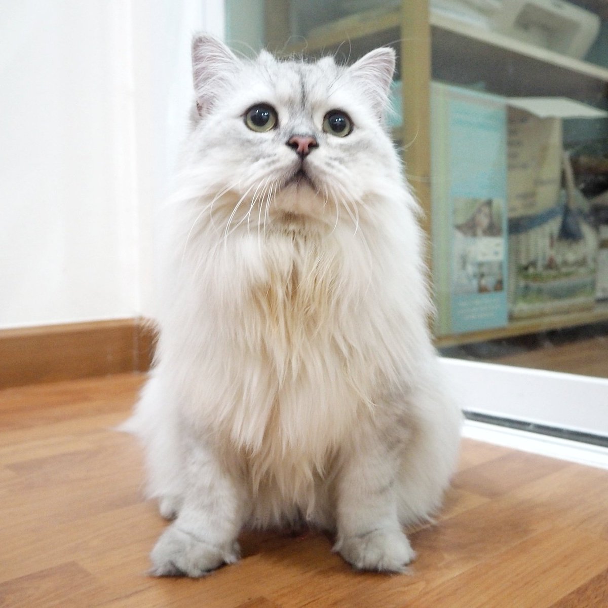 Bonusiie's tweet photo. หนูเป็นพี่น้องกันจริงหรอลูก https://t.co/7dUGxPcT7s