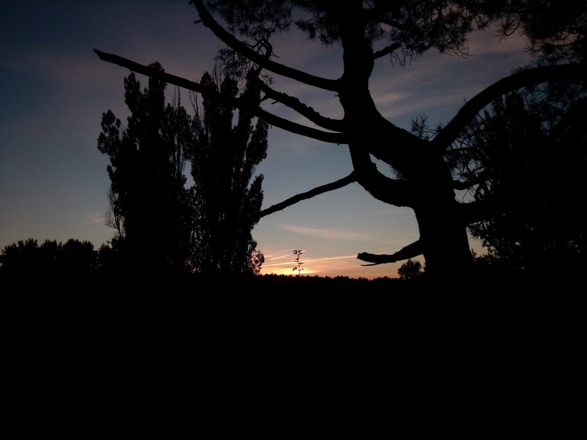 noemidelser's tweet photo. #pueblosSegovia #vallelado #atardeciendo https://t.co/Dzbjlbe2B3