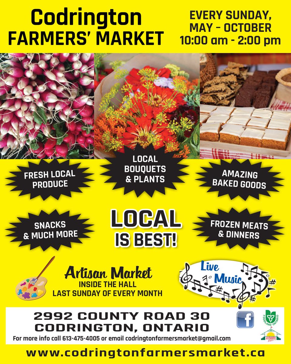 Brighton Events! tweet media