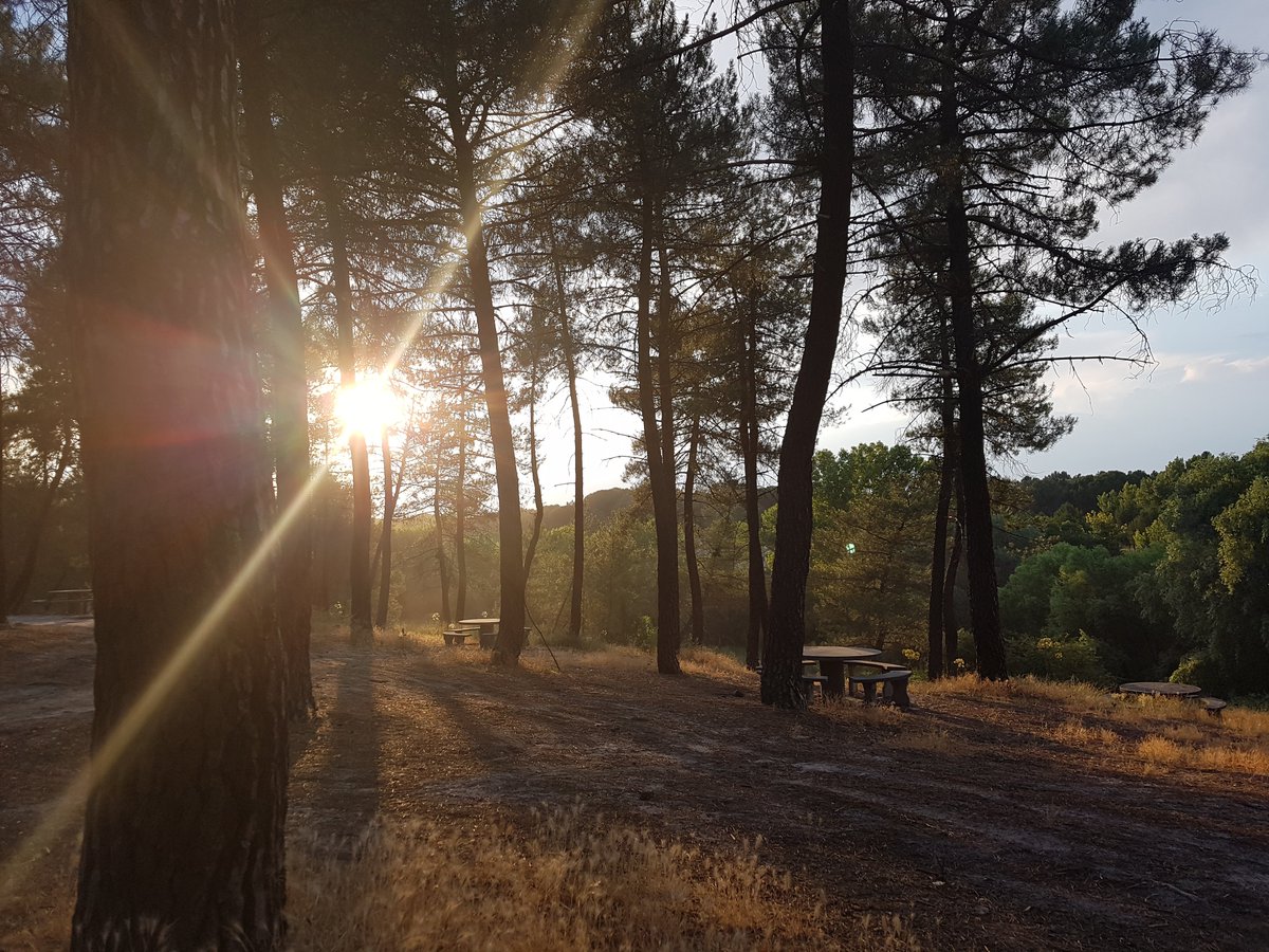 noemidelser's tweet photo. #pueblosSegovia #Vallelado #río https://t.co/ol82UTNTWa