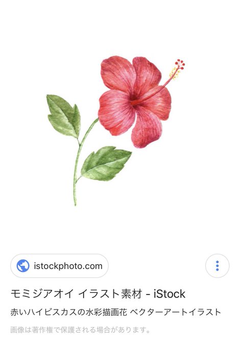 モミジアオイのtwitterイラスト検索結果 古い順