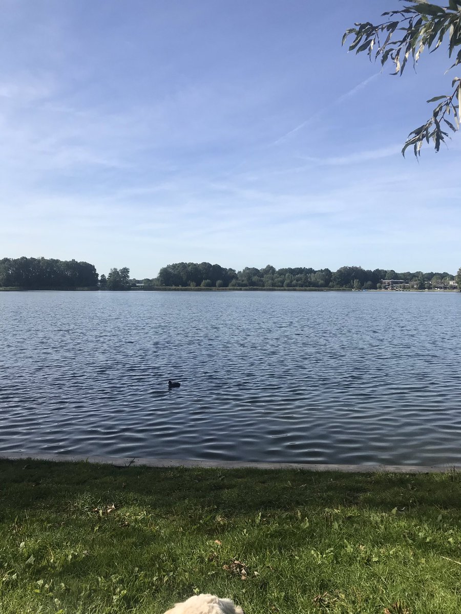 AimeeMullinsFan's tweet photo. We are finished!!!🙌🏻 
We would walk 10 km but it has become 11 km.
We were off the path😂 And Alfie was fantastic, just 11 km walk🙌🏻🤗 @Hartstichting #ImagineRun #Walking #Hartstichting @laaflurk #Alfie https://t.co/zc5Axz24N2